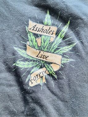 Rare!!! 💥🔥🔥 Assholes Live Forever NWT Hoodie Logo and Weed Leaf